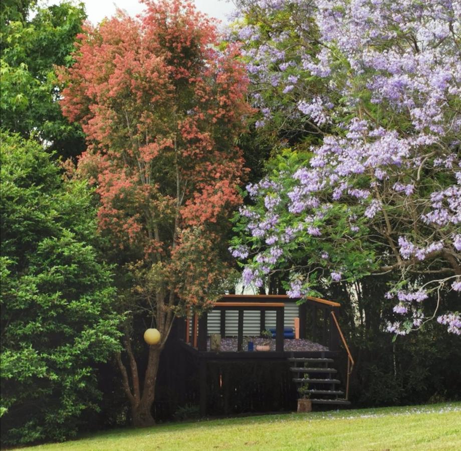 Wyndover Mountain Retreat Beechmont 외부 사진