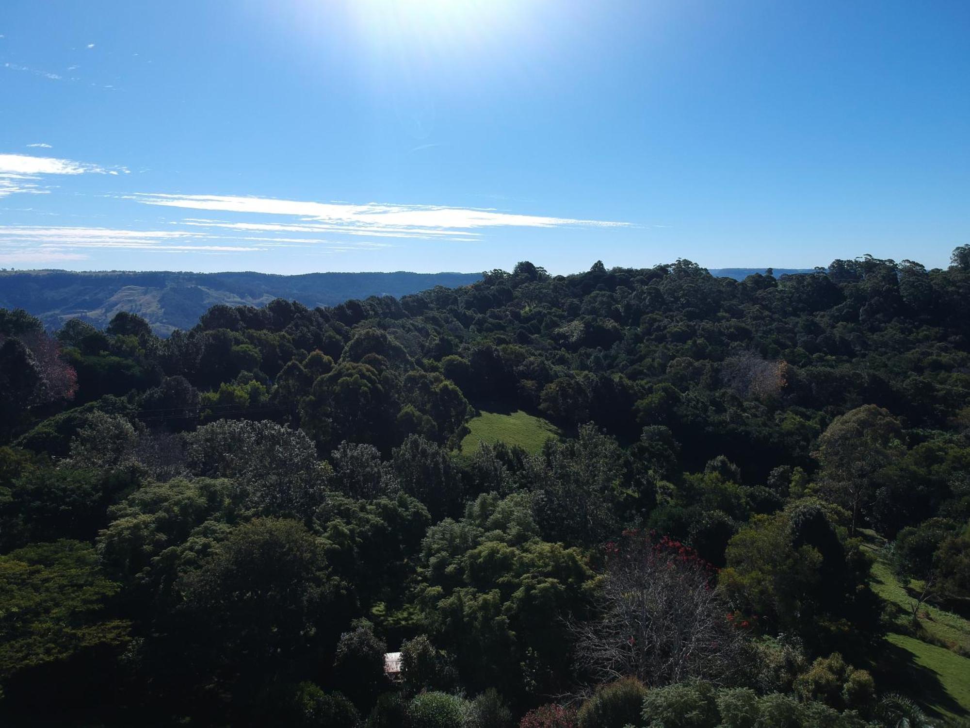 Wyndover Mountain Retreat Beechmont 외부 사진
