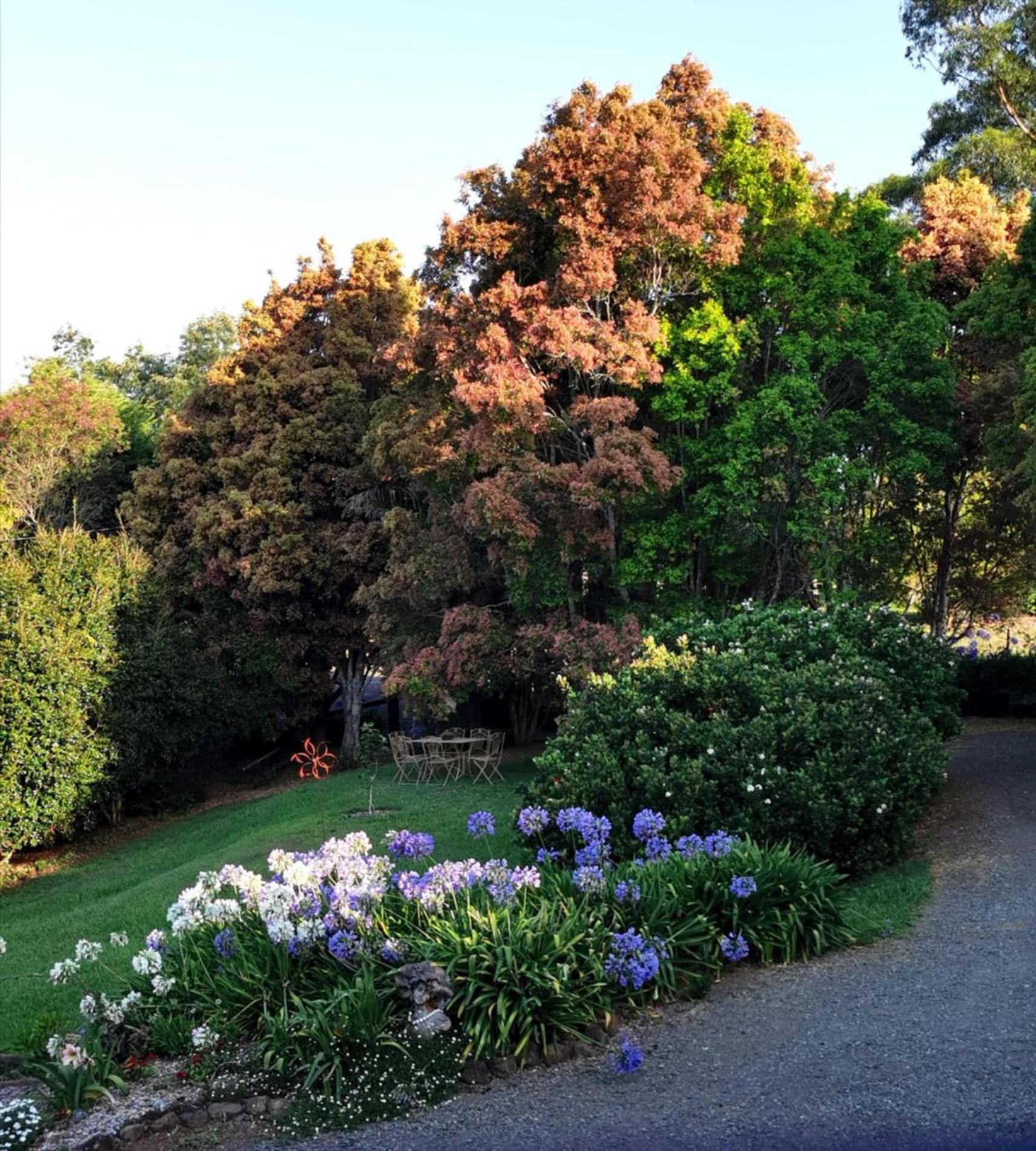 Wyndover Mountain Retreat Beechmont 외부 사진