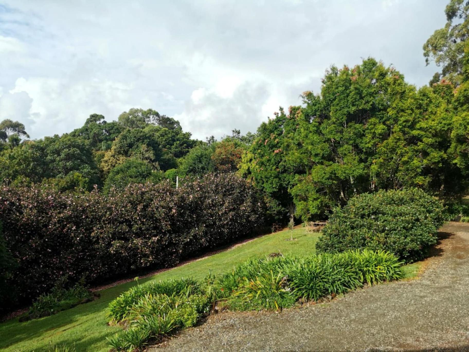 Wyndover Mountain Retreat Beechmont 외부 사진