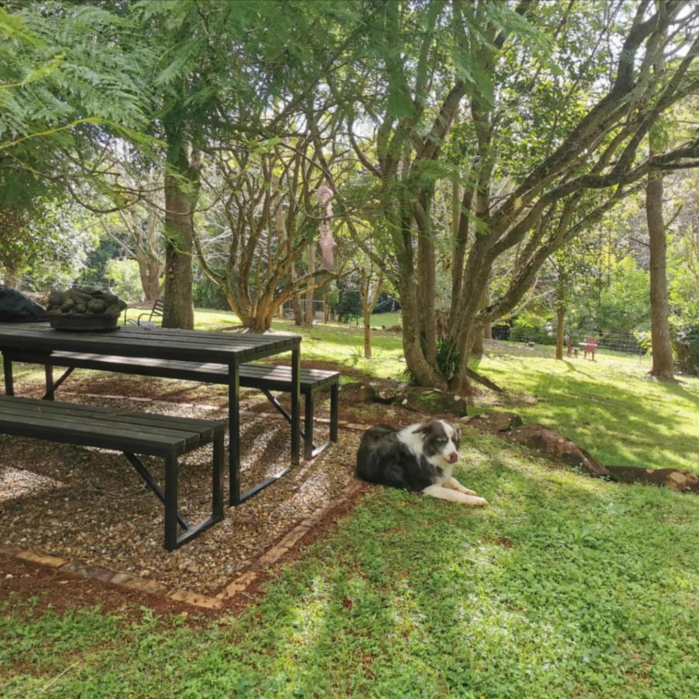 Wyndover Mountain Retreat Beechmont 외부 사진