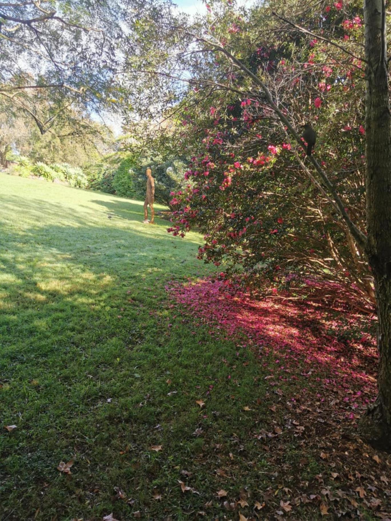 Wyndover Mountain Retreat Beechmont 외부 사진